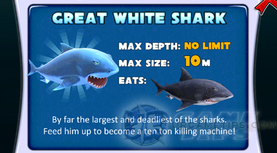 Hungry Shark Evolution: Quick Walkthrough and Missions Guide